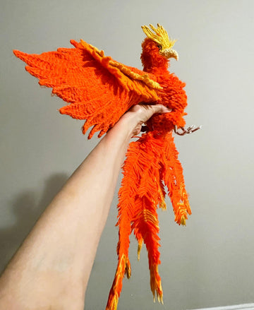 Adult phoenix
