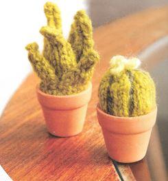Mini Plants in Pots