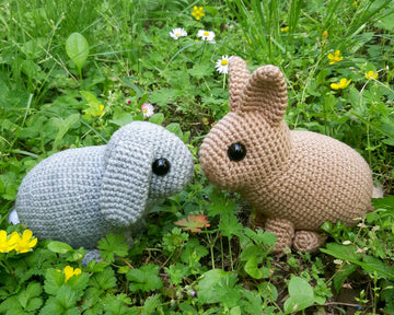 Dwarf rabbits