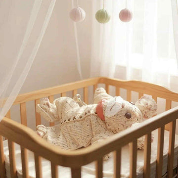 Baby Bear All in one set