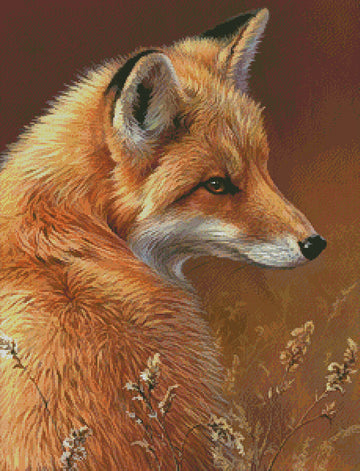 Red Fox Profile - #13712-CYP