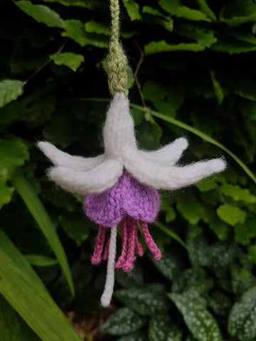 Knitted Fuchsia