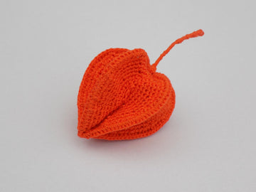 Physalis Plant (Chinese Lantern)