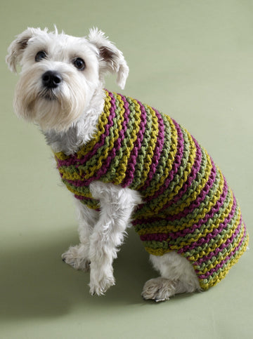 City Stripes Dog Sweater in Lion Brand Wool-Ease Thick & Quick - 80933AD