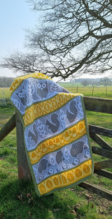 Stylecraft Flora's Fauna CAL by Rosina Plane - Meadow (Small)