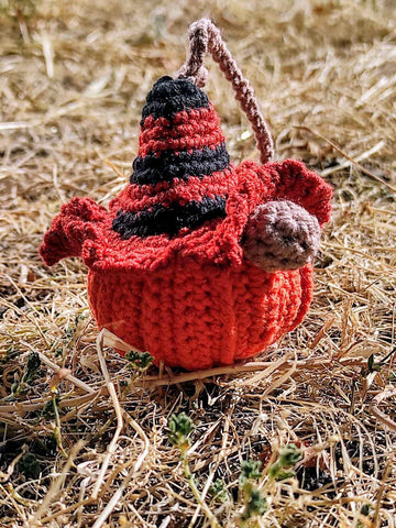 Gnome Pumpkin