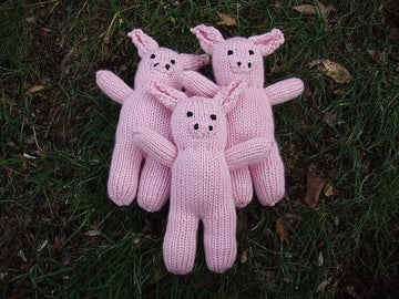 Mini Pig