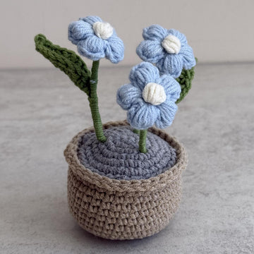 Puff Flower Plant