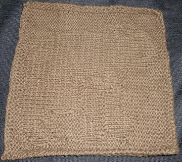 Bear Dishcloth