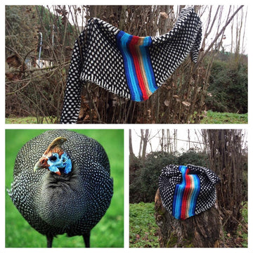 Tribute Shawl: Helmeted Guinea Fowl