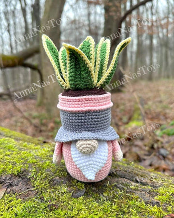 Gnome succulent (sansevieria)