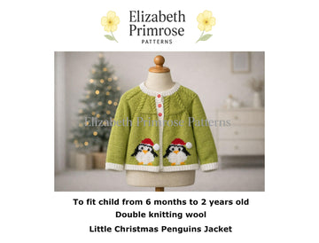 Little Christmas Penguins Jacket P16