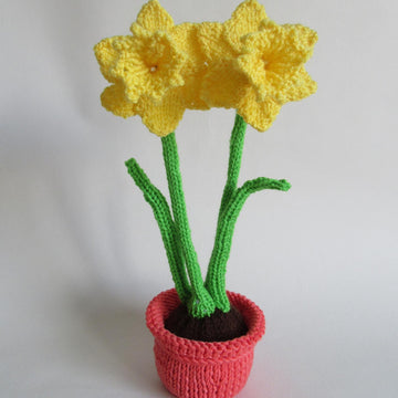 Daffodils in a Pot Chocolate Orange Cover Cozy