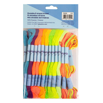 DMC Threadship 6-Strand Polyester 24 Skein Pack