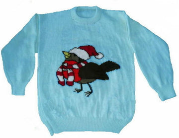 Cute Christmas Robin Jumper