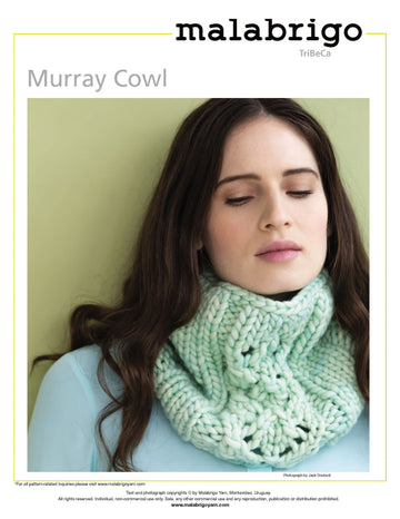 Murray Cowl in Malabrigo Rasta - Downloadable PDF