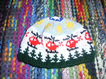 Little helicopter kids beanie