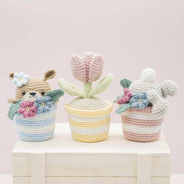 The Pots