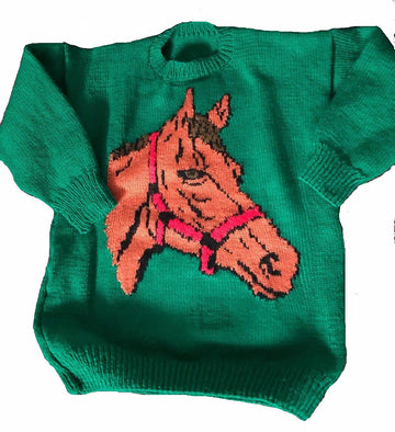 Horse Head Jumper