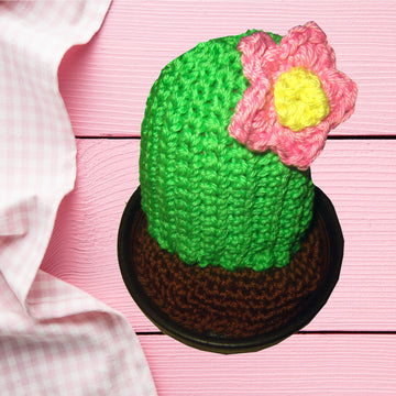 Cactus Suzanne with a Pink Blossom Crochet Pattern