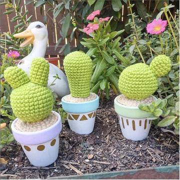 The Friendly Cacti