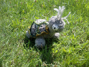 Süße Schildkröte, gestrickt