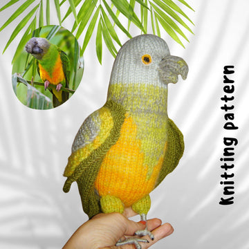 Senegal Parrot Knitting Pattern – Realistic Bird Toy DIY