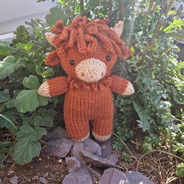 Harry the Heeland Coo