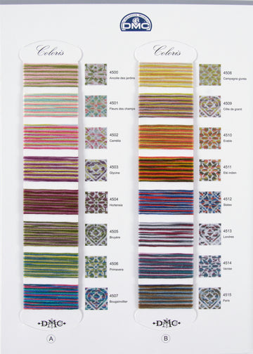 DMC Coloris Shade Card