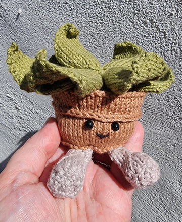 Adorable little plant in a pot