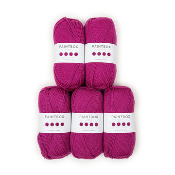 Paintbox Yarns Simply Aran 5 Ball Value Pack