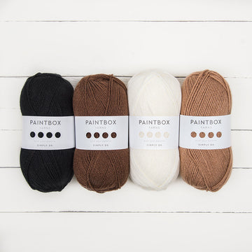 Paintbox Yarns Simply DK 4 Ball Colour Pack