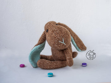 Bunny Biscuit