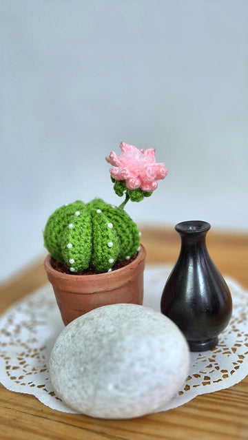 Cactus plant with flower