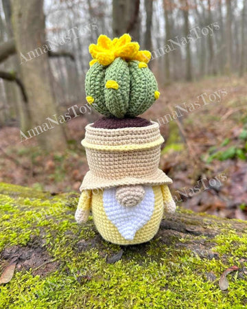 Gnome succulent (cactus)