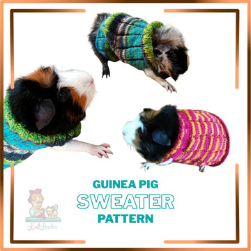 Easy Knit Guinea Pig Sweater