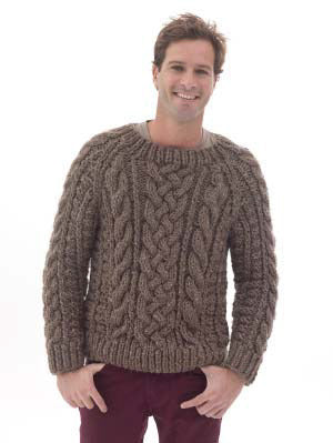 Raglan Cabled Pullover in Lion Brand Wool-Ease Thick & Quick - L40174