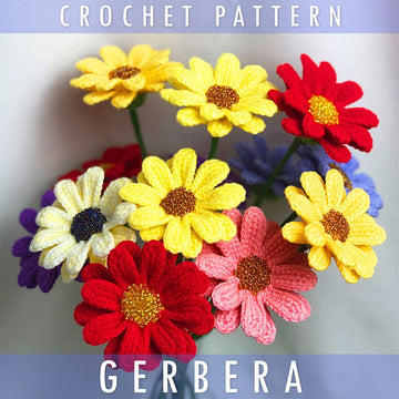 Gerbera Daisy