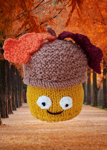 Acorn Chocolate Orange Cosy