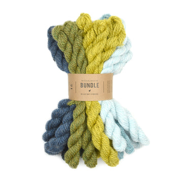 Blue Sky Fibers Woolstok Bundle