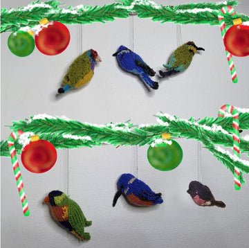 A Rainbow of Aussie Birds