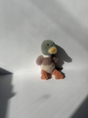 Mallard Duck
