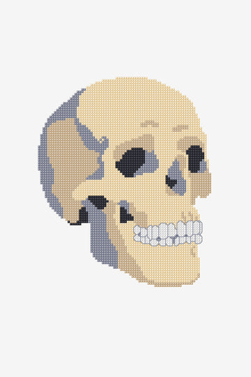 Skull in DMC - PAT0797 - Downloadable PDF