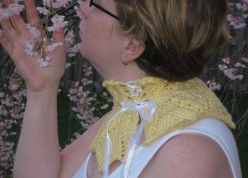 Steampunk Victorian Collar