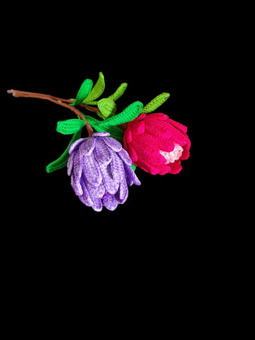 Crochet Protea flowers