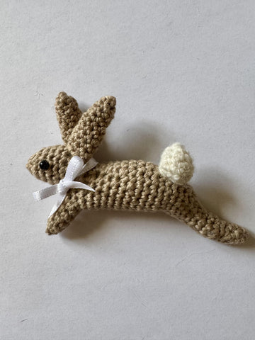 Leaping Spring Hare