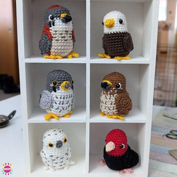 Pocket Birds of Prey