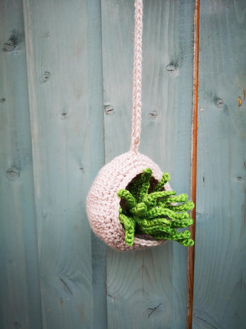 Air plant and holder