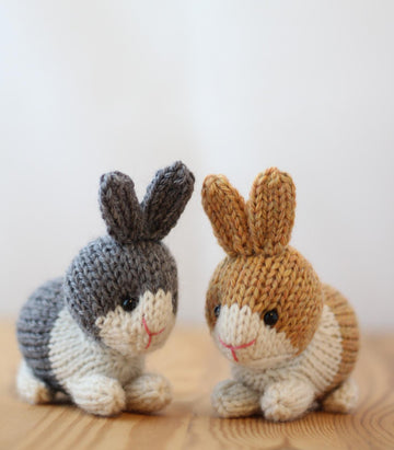 Dutch Rabbits