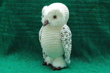Gwenn the Snowy Owl